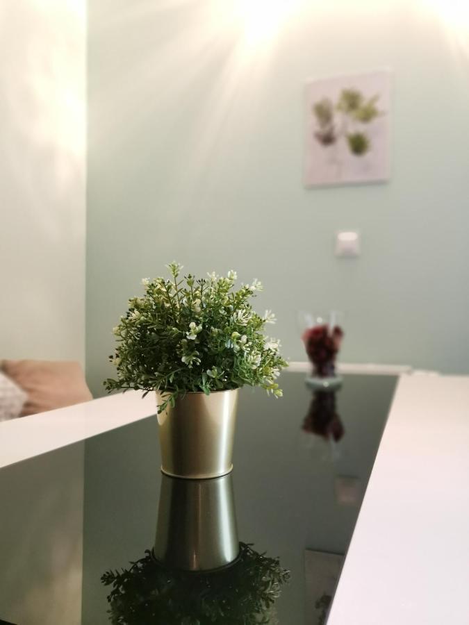 Maglonia Apartment Wrocław Eksteriør billede